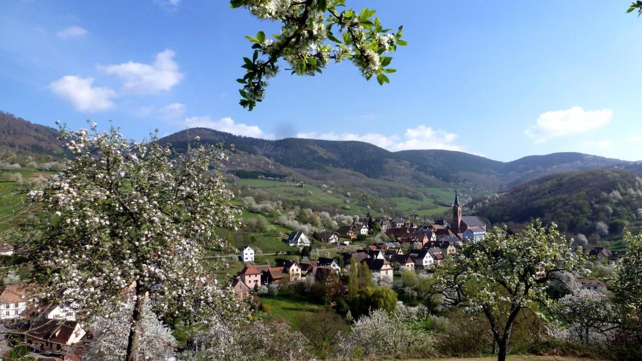 Les Gites La Cerisaie Breitenbach Extérieur photo