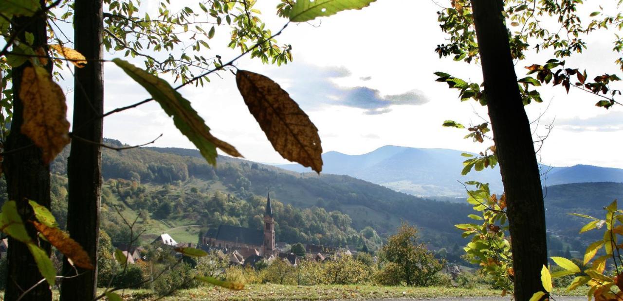 Les Gites La Cerisaie Breitenbach Extérieur photo